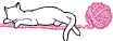 C@t